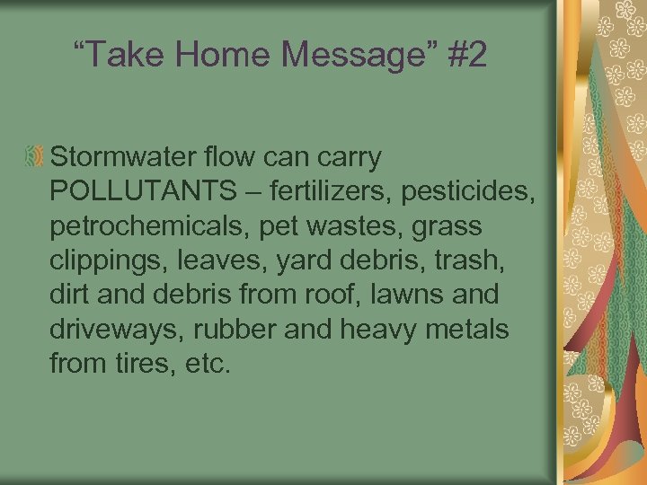 “Take Home Message” #2 Stormwater flow can carry POLLUTANTS – fertilizers, pesticides, petrochemicals, pet