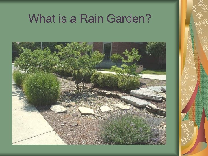 What is a Rain Garden? 