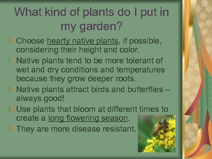 What kind of plants do I put in my garden? Choose hearty native plants,