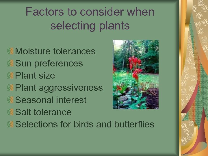 Factors to consider when selecting plants Moisture tolerances Sun preferences Plant size Plant aggressiveness