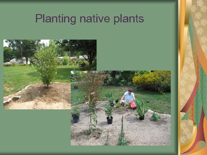 Planting native plants 