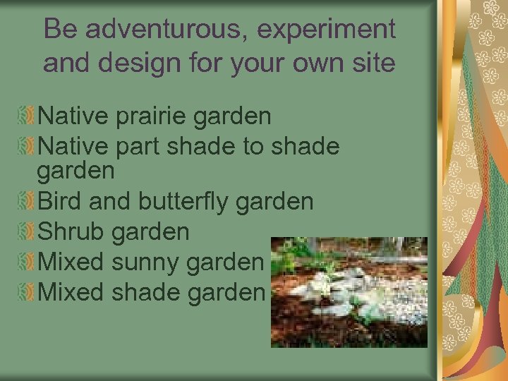 Be adventurous, experiment and design for your own site Native prairie garden Native part
