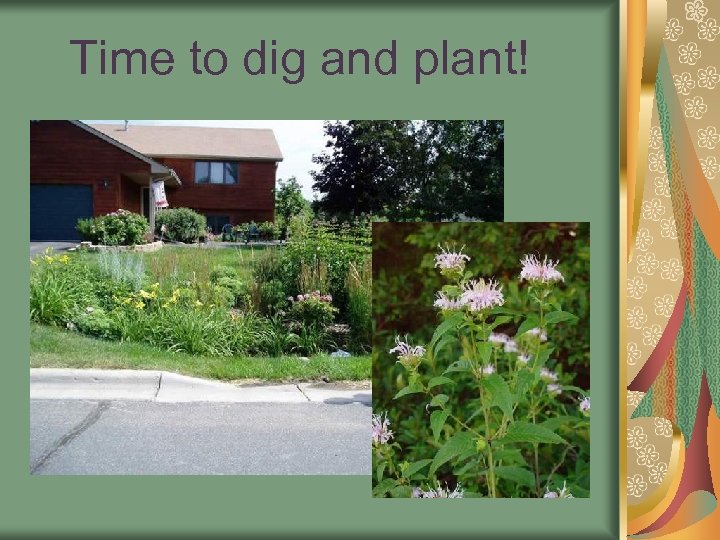 Time to dig and plant! 