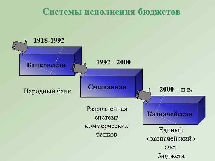 Системы исполнения бюджета