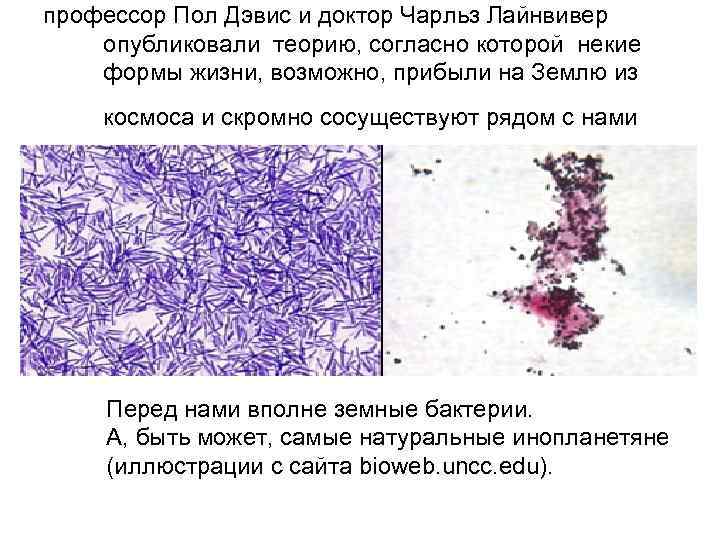 профессор Пол Дэвис и доктор Чарльз Лайнвивер опубликовали теорию, согласно которой некие формы жизни,