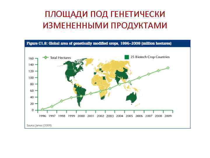 ПЛОЩАДИ ПОД ГЕНЕТИЧЕСКИ ИЗМЕНЕННЫМИ ПРОДУКТАМИ 