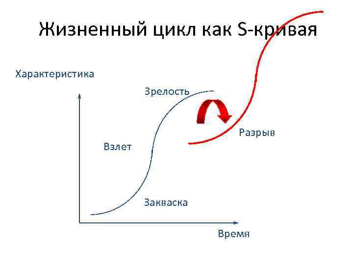 Жизненный цикл как S-кривая Характеристика Зрелость Разрыв Взлет Закваска Время 