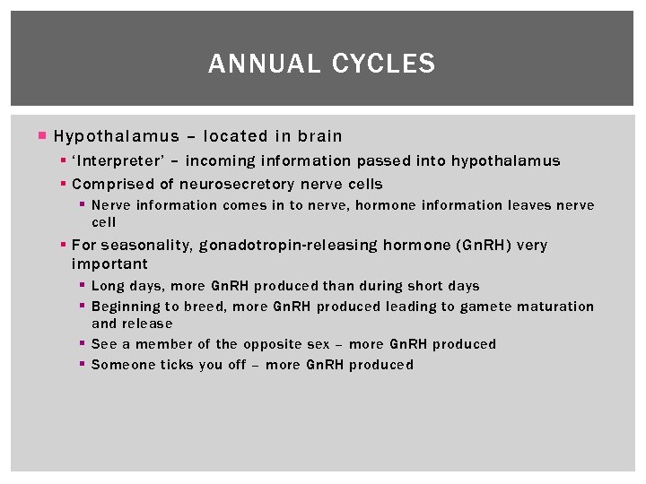 ANNUAL CYCLES Hypothalamus – located in brain § ‘Interpreter’ – incoming information passed into