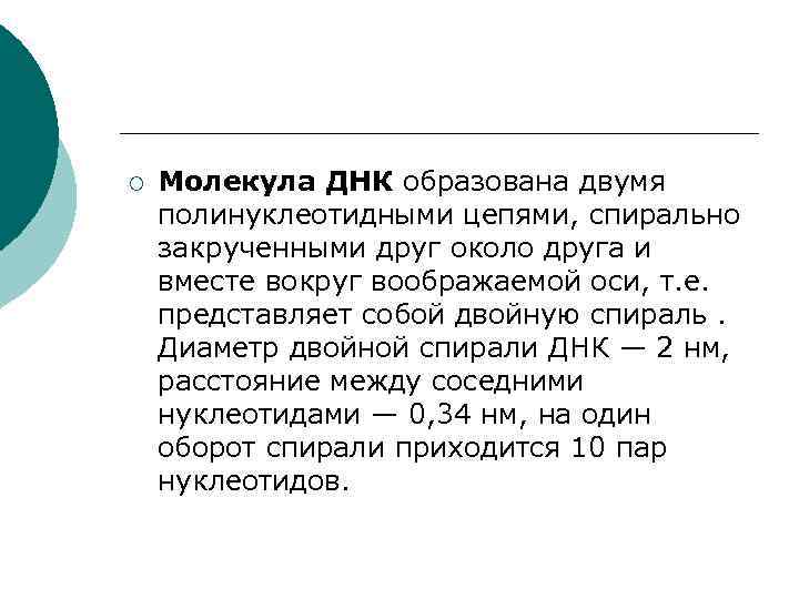¡ Молекула ДНК образована двумя полинуклеотидными цепями, спирально закрученными друг около друга и вместе