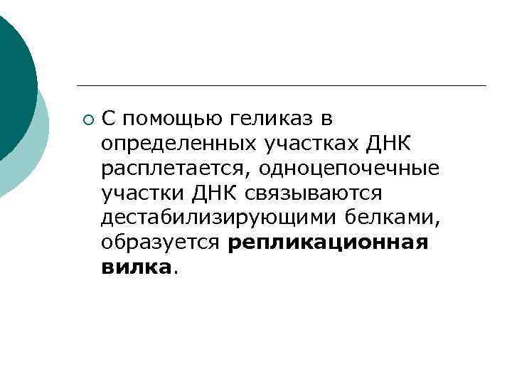 ¡ С помощью геликаз в определенных участках ДНК расплетается, одноцепочечные участки ДНК связываются дестабилизирующими