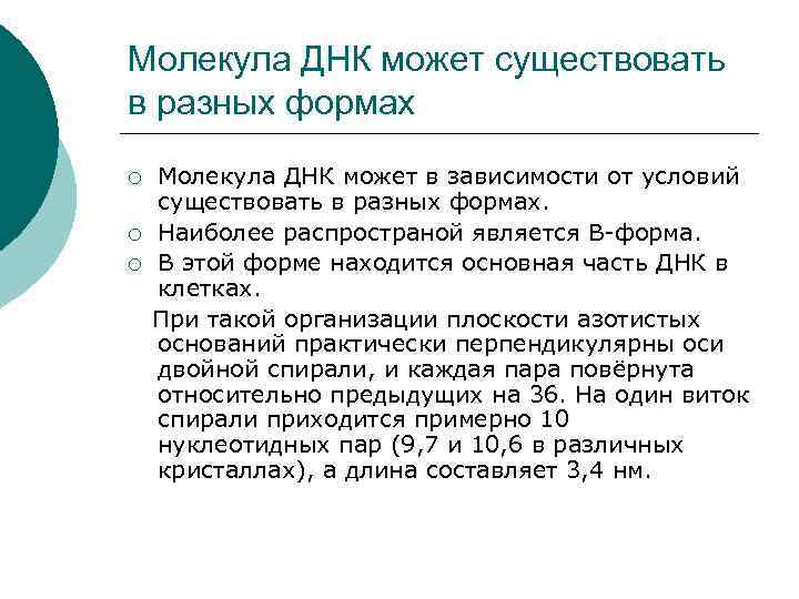 Молекула ДНК может существовать в разных формах Молекула ДНК может в зависимости от условий