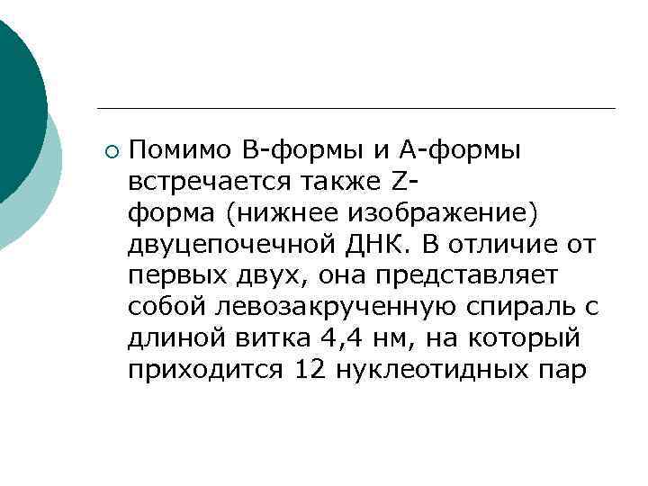 ¡ Помимо В-формы и А-формы встречается также Zформа (нижнее изображение) двуцепочечной ДНК. В отличие