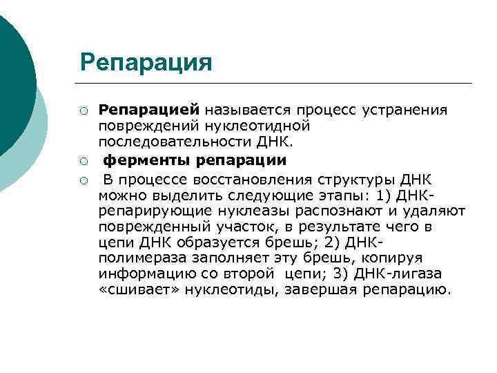 Репарация ¡ ¡ ¡ Репарацией называется процесс устранения повреждений нуклеотидной последовательности ДНК. ферменты репарации