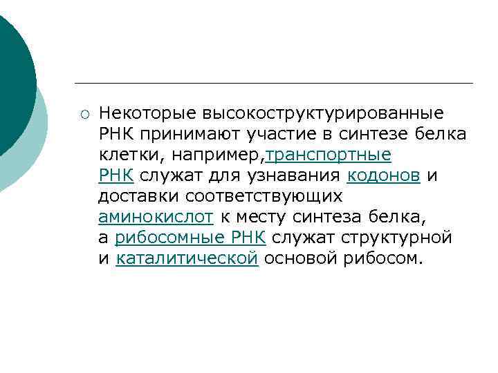 ¡ Некоторые высокоструктурированные РНК принимают участие в синтезе белка клетки, например, транспортные РНК служат