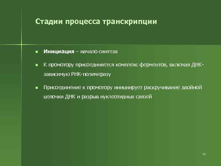Стадии процесса транскрипции n Инициация – начало синтеза n К промотору присоединяется комплекс ферментов,