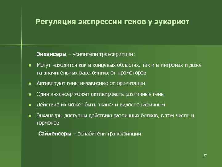 Регуляция экспрессии генов у эукариот Энхансеры – усилители транскрипции: n Могут находится как в