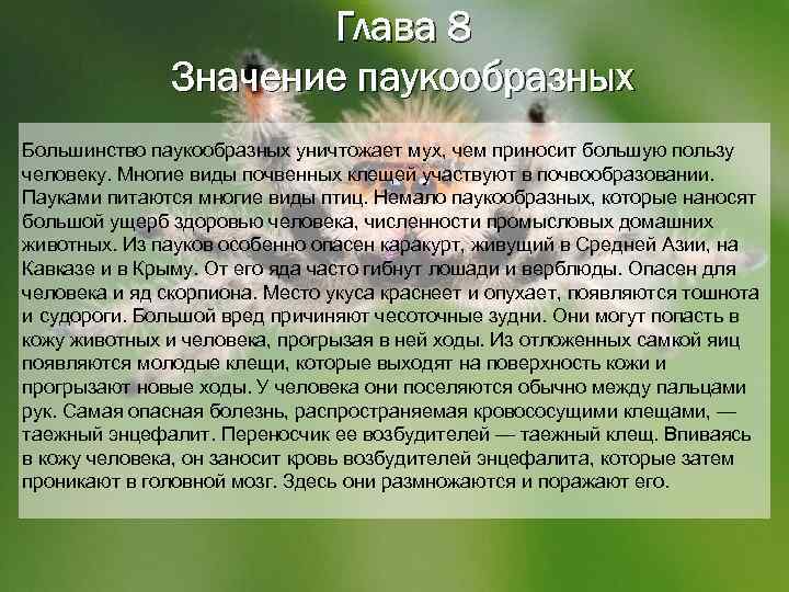 Глава 8 Значение паукообразных Большинство паукообразных уничтожает мух, чем приносит большую пользу человеку. Многие