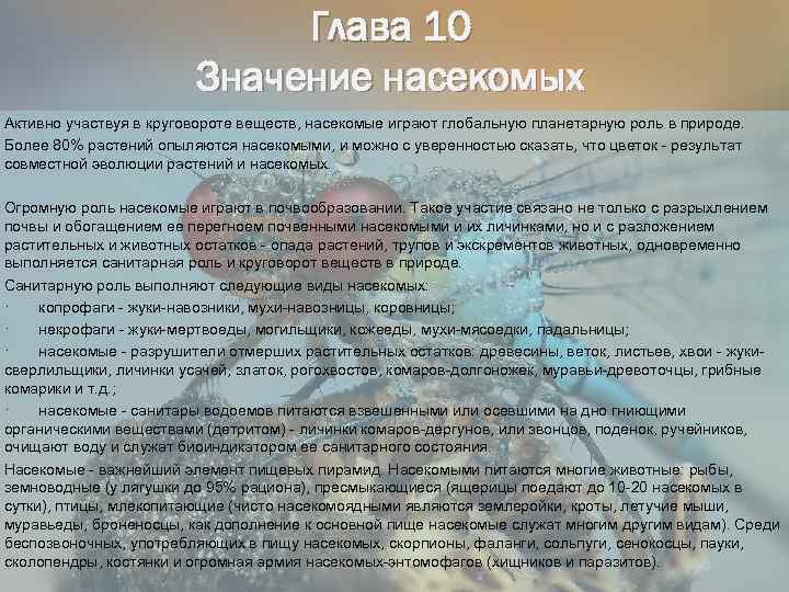 Глава 10 Значение насекомых Активно участвуя в круговороте веществ, насекомые играют глобальную планетарную роль