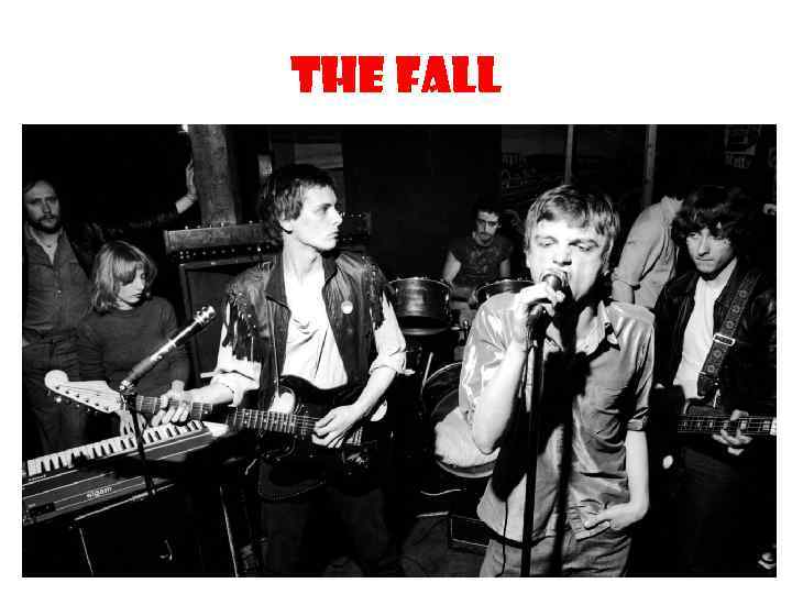 The Fall 