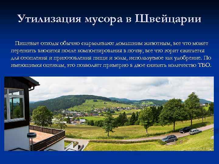 Утилизация мусора в Швейцарии Пищевые отходы обычно скармливают домашним животным, все что может перегнить