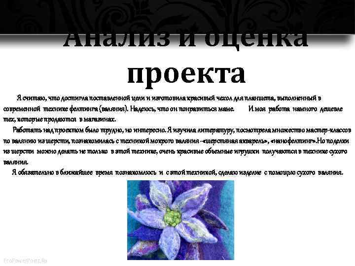 Анализ и оценка проекта Я считаю, что достигла поставленной цели и изготовила красивый чехол