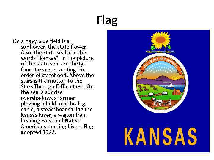 Flag On a navy blue field is a sunflower, the state flower. Also, the