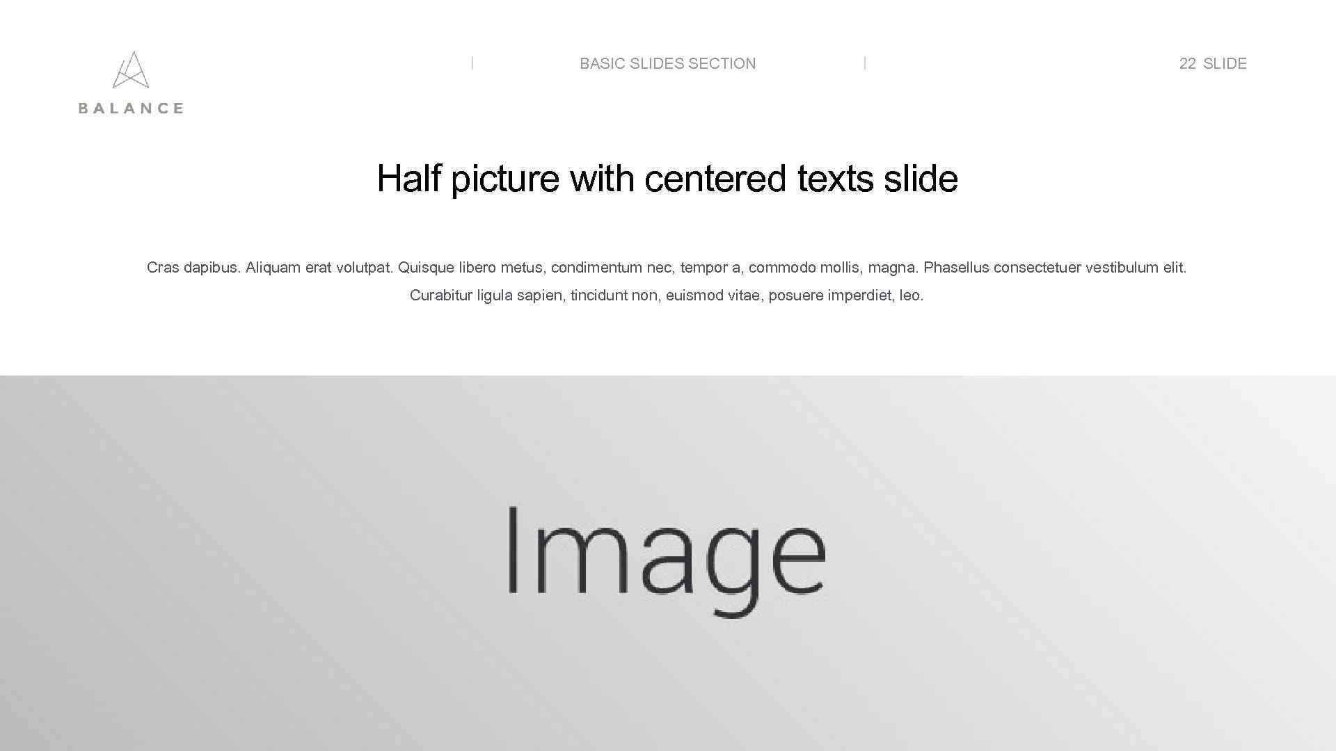 BASIC SLIDES SECTION 22 SLIDE Half picture with centered texts slide Cras dapibus. Aliquam