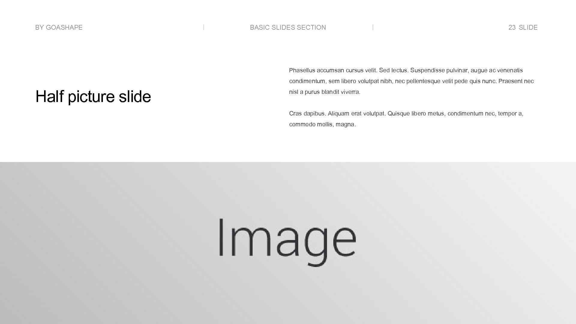 BY GOASHAPE BASIC SLIDES SECTION 23 SLIDE Phasellus accumsan cursus velit. Sed lectus. Suspendisse