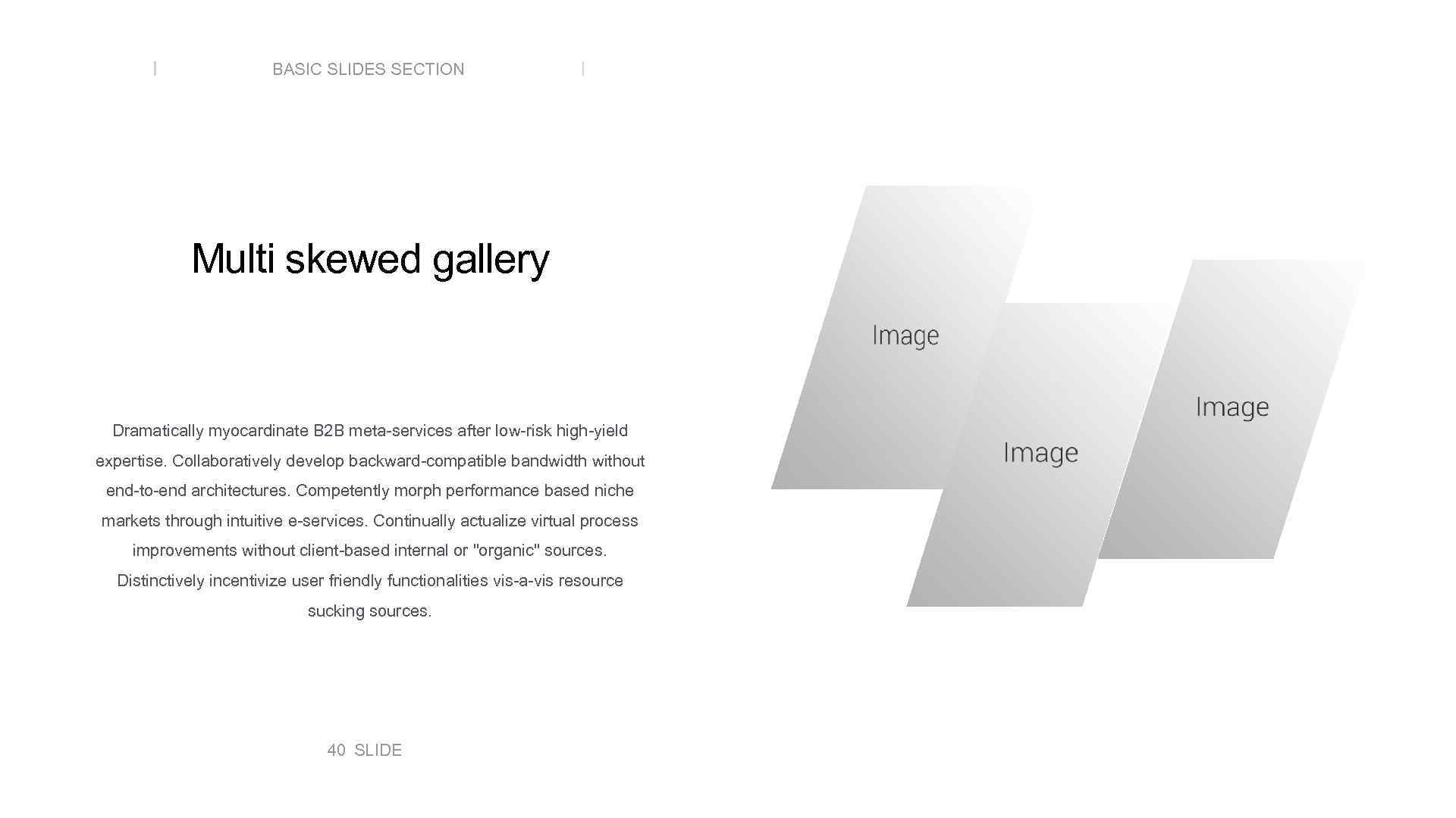 BASIC SLIDES SECTION Multi skewed gallery Dramatically myocardinate B 2 B meta-services after low-risk