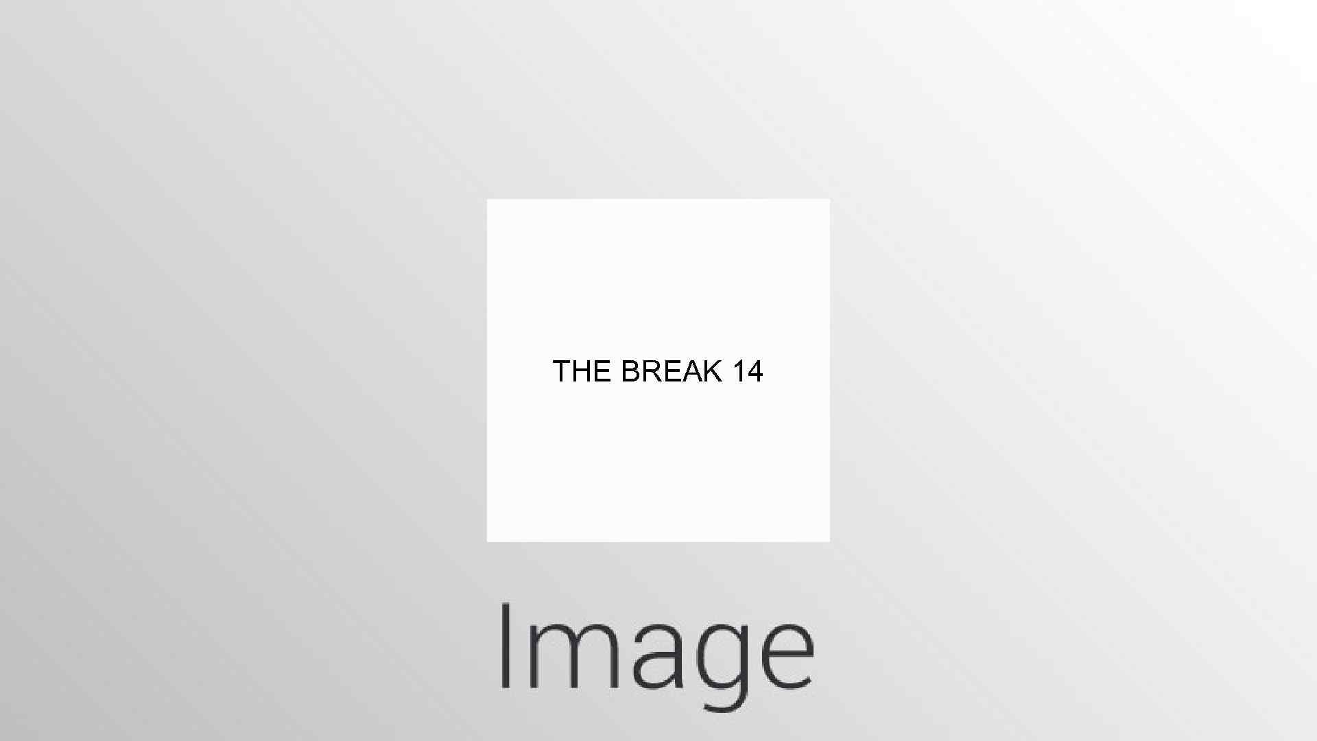 THE BREAK 14 