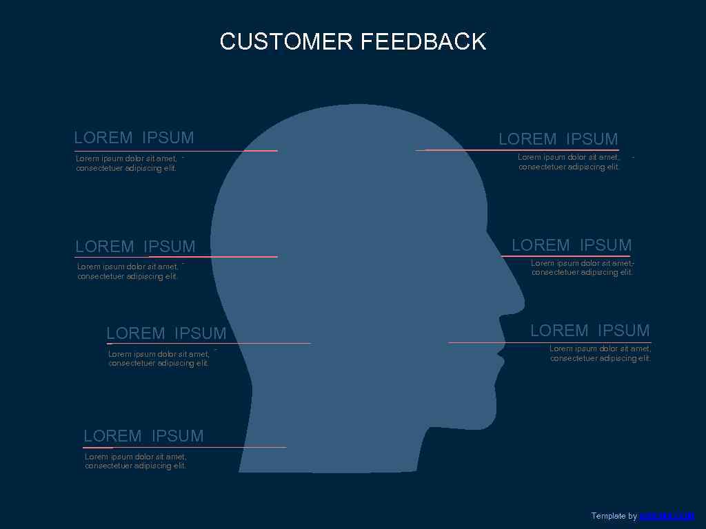 CUSTOMER FEEDBACK LOREM IPSUM Lorem ipsum dolor sit amet, consectetuer adipiscing elit. - -