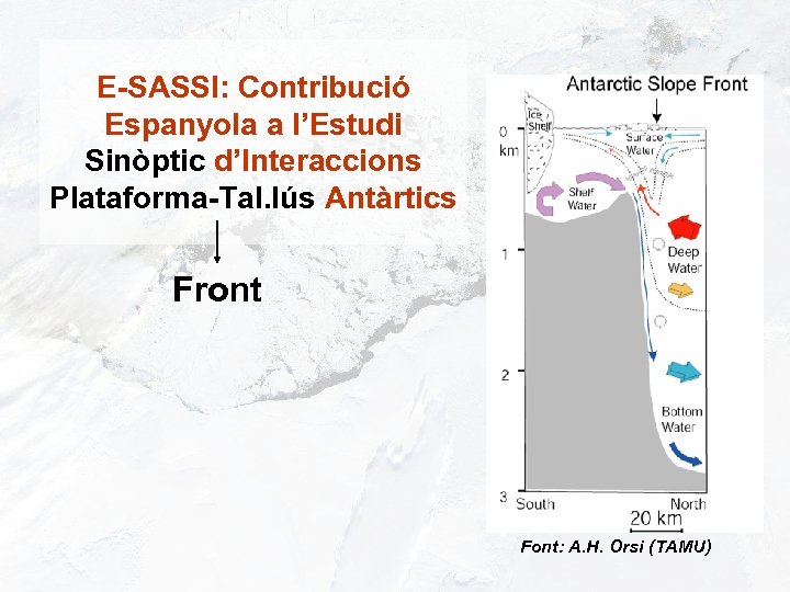 E-SASSI: Contribució Espanyola a l’Estudi Sinòptic d’Interaccions Plataforma-Tal. lús Antàrtics Front Font: A. H.