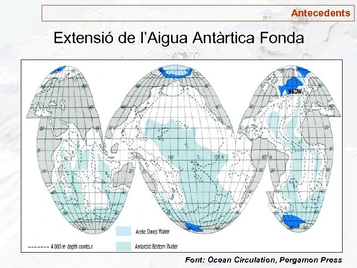 Antecedents Extensió de l’Aigua Antàrtica Fonda Font: Ocean Circulation, Pergamon Press 