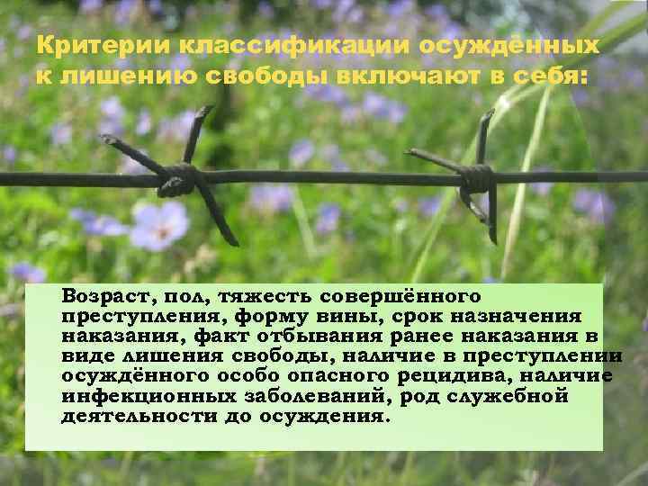 Критерии классификации осуждённых к лишению свободы включают в себя: Возраст, пол, тяжесть совершённого преступления,