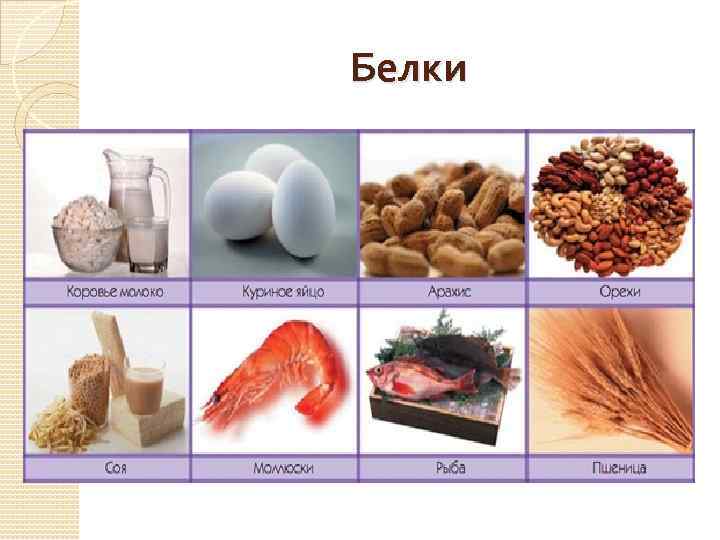 Белки 