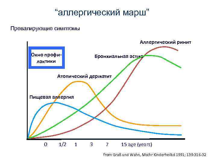 “аллергический марш” Превалирующие симптомы Аллергический ринит Окно профилактики Бронхиальная астма Атопический дерматит Пищевая аллергия