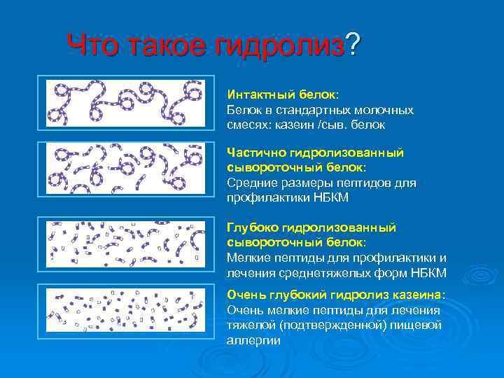 Что такое гидролиз? Интактный белок: Белок в стандартных молочных смесях: казеин /сыв. белок Частично