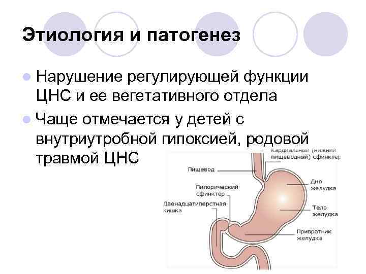 Этиология и патогенез l Нарушение регулирующей функции ЦНС и ее вегетативного отдела l Чаще