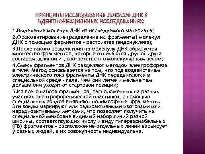 1. Выделение молекул ДНК из исследуемого материала; 2. Фракментирование (разделение на фрагменты) молекул ДНК