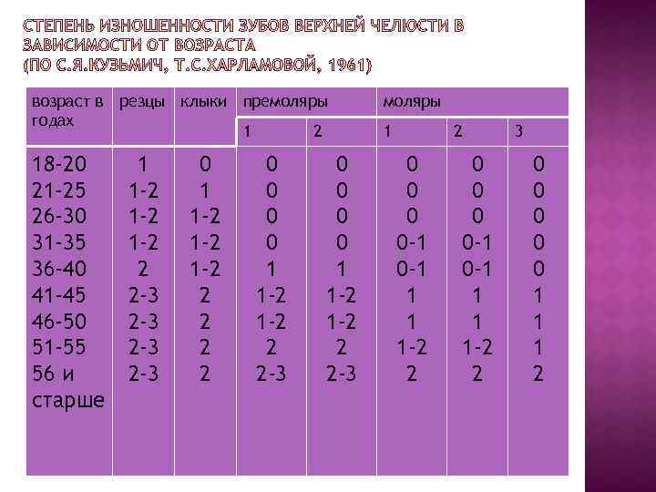 возраст в резцы клыки премоляры годах 1 2 18 -20 21 -25 26 -30