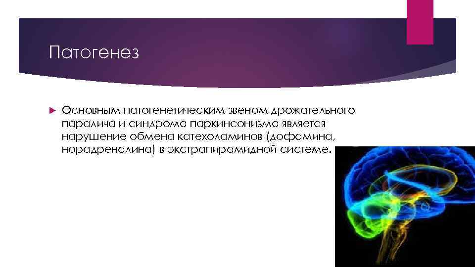 Патогенез Основным патогенетическим звеном дрожательного паралича и синдрома паркинсонизма является нарушение обмена катехоламинов (дофамина,