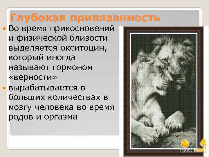 Глубокая привязанность Во время прикосновений и физической близости выделяется окситоцин, который иногда называют гормоном