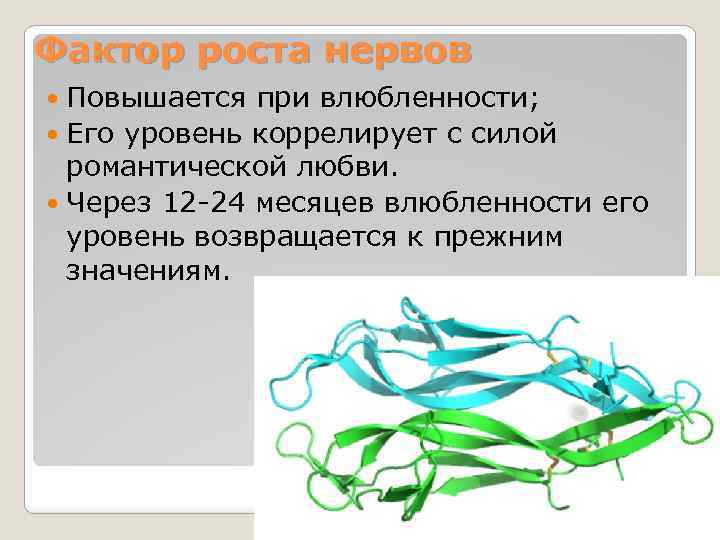 Фактор роста нервов Повышается при влюбленности; Его уровень коррелирует с силой романтической любви. Через