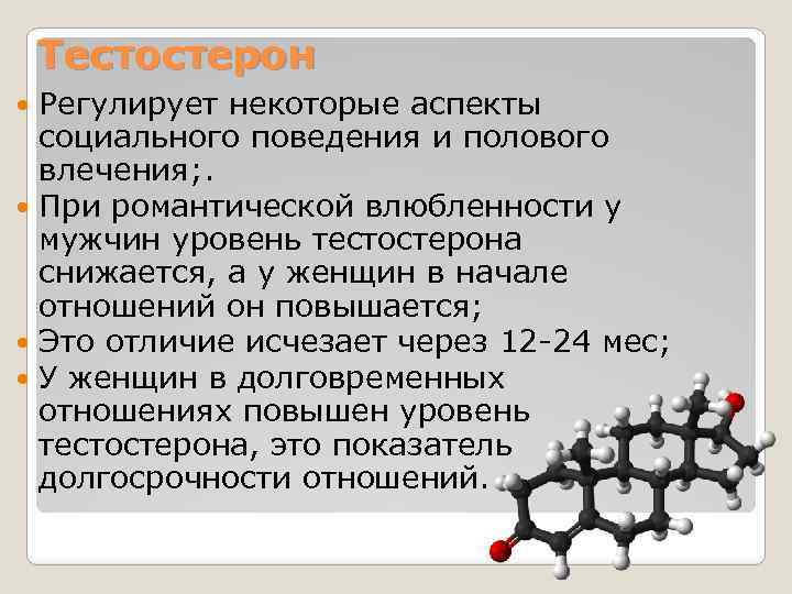 Тестостерон Регулирует некоторые аспекты социального поведения и полового влечения; . При романтической влюбленности у