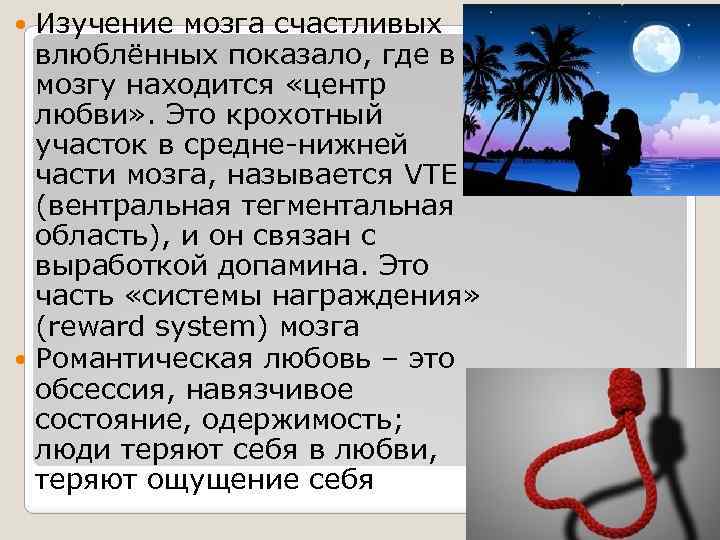 Изучение мозга счастливых влюблённых показало, где в мозгу находится «центр любви» . Это крохотный