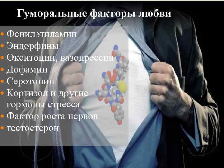 Гуморальные факторы любви Фенилэтиламин Эндорфины Окситоцин, вазопрессин Дофамин Серотонин Кортизол и другие гормоны стресса