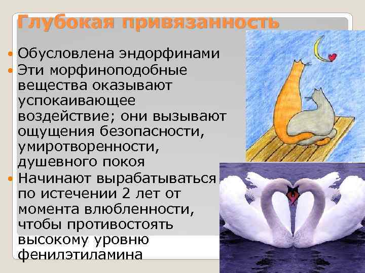 Глубокая привязанность Обусловлена эндорфинами Эти морфиноподобные вещества оказывают успокаивающее воздействие; они вызывают ощущения безопасности,