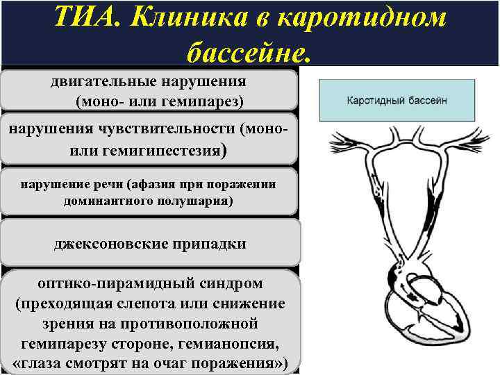 ТИА. Клиника в каротидном бассейне. двигательные нарушения (моно- или гемипарез) нарушения чувствительности (моно- или