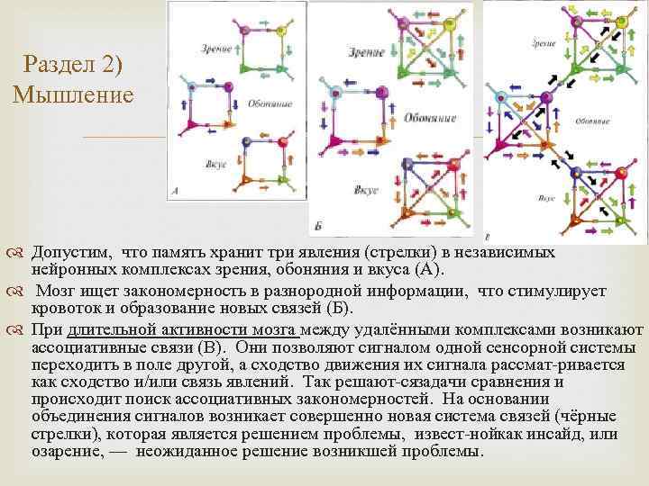 Раздел 2) Мышление Допустим, что память хранит три явления (стрелки) в независимых нейронных комплексах