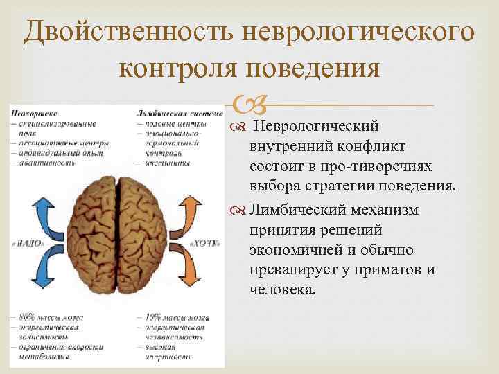 Двойственность неврологического контроля поведения Неврологический внутренний конфликт состоит в про тиворечиях выбора стратегии поведения.